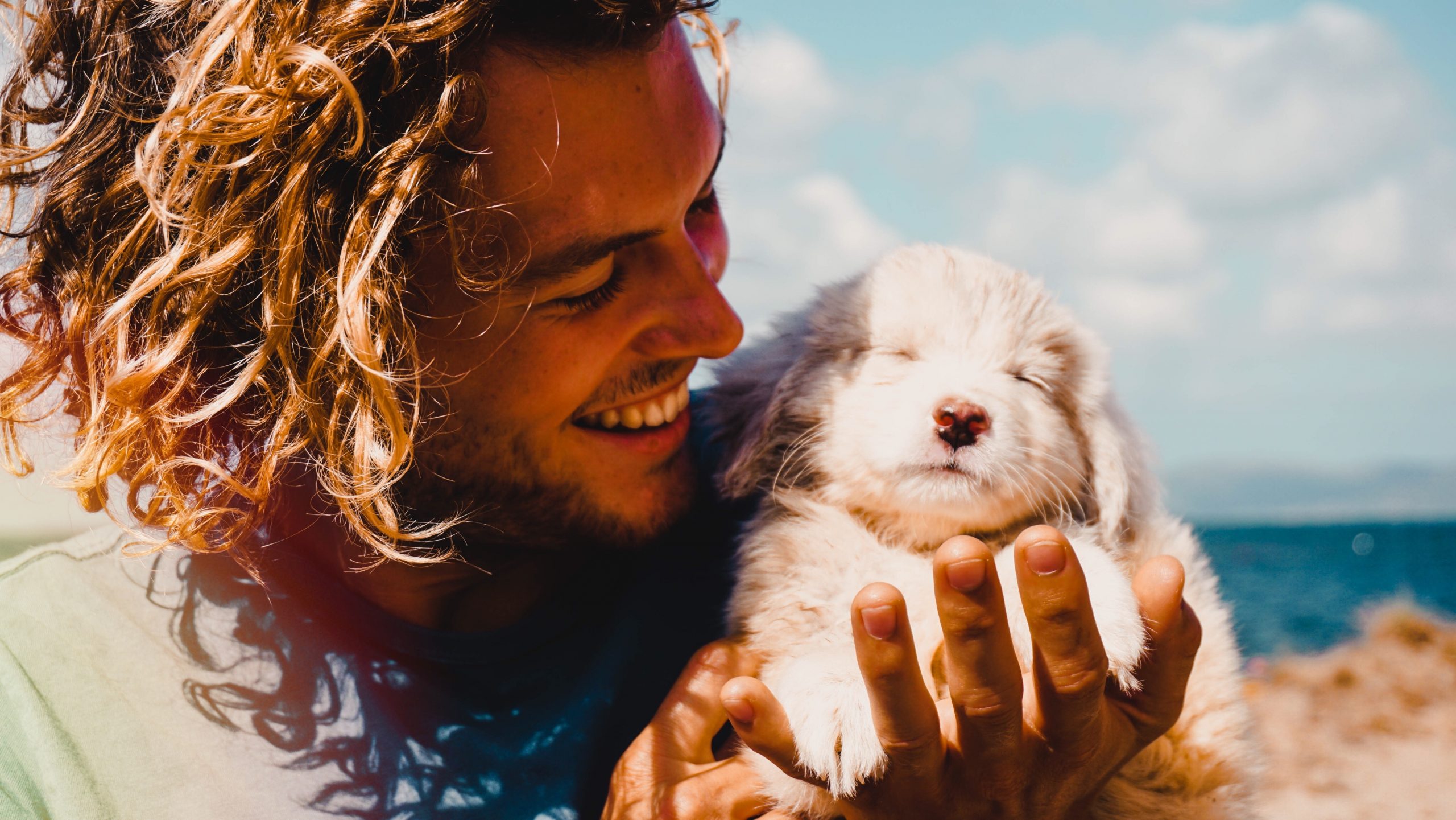 Man with long hair in blue shirt holding sleeping puppy on beach
